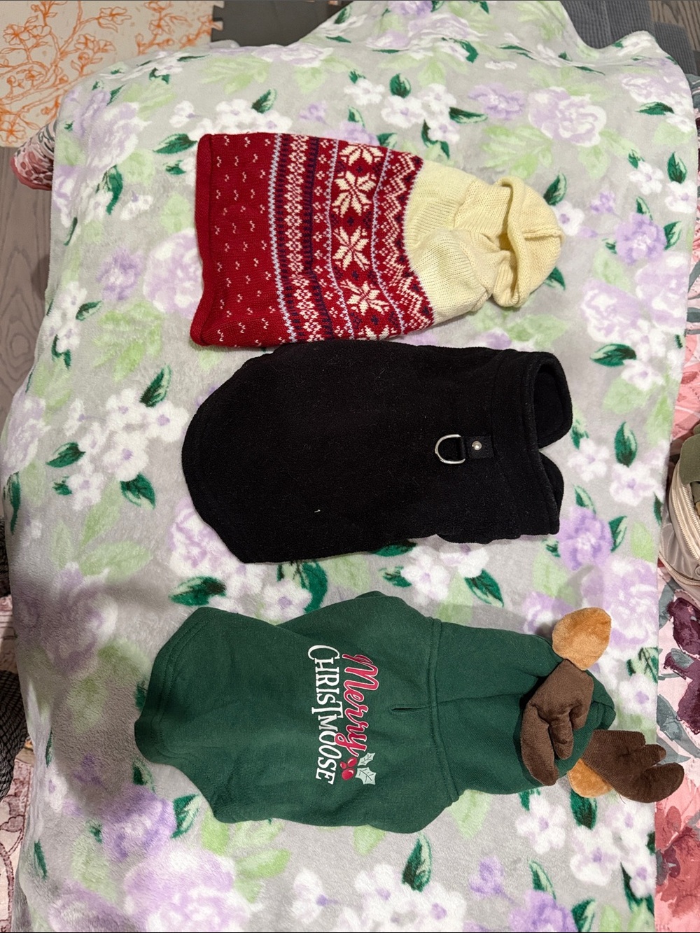 Bundle - 2 sweaters and 1 sweater harness xs
